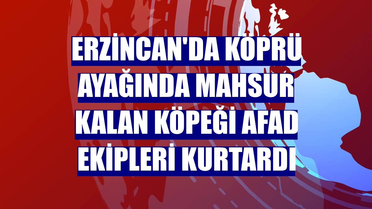 Erzincan'da köprü ayağında mahsur kalan köpeği AFAD ekipleri kurtardı