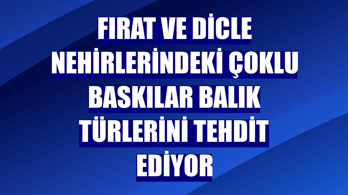 Fırat ve Dicle nehirlerindeki çoklu baskılar balık türlerini tehdit ediyor