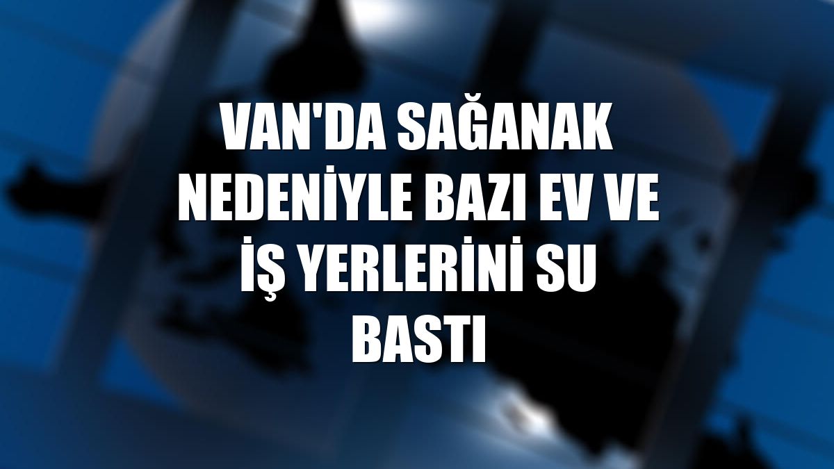 Van'da sağanak nedeniyle bazı ev ve iş yerlerini su bastı