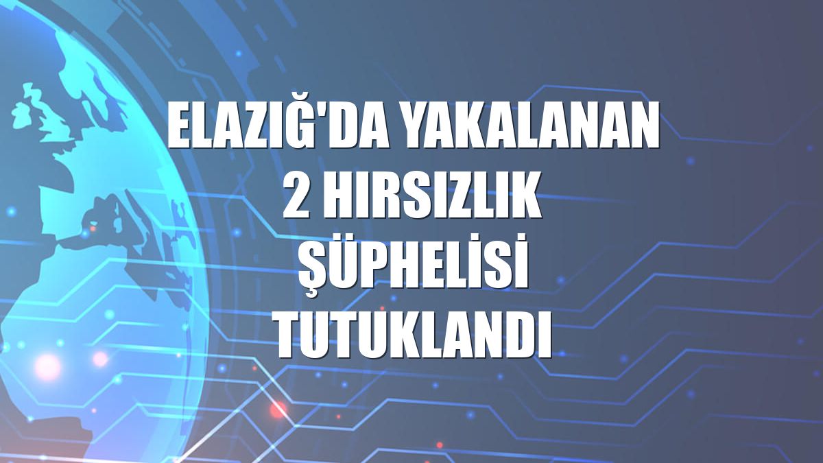 Elazığ'da yakalanan 2 hırsızlık şüphelisi tutuklandı