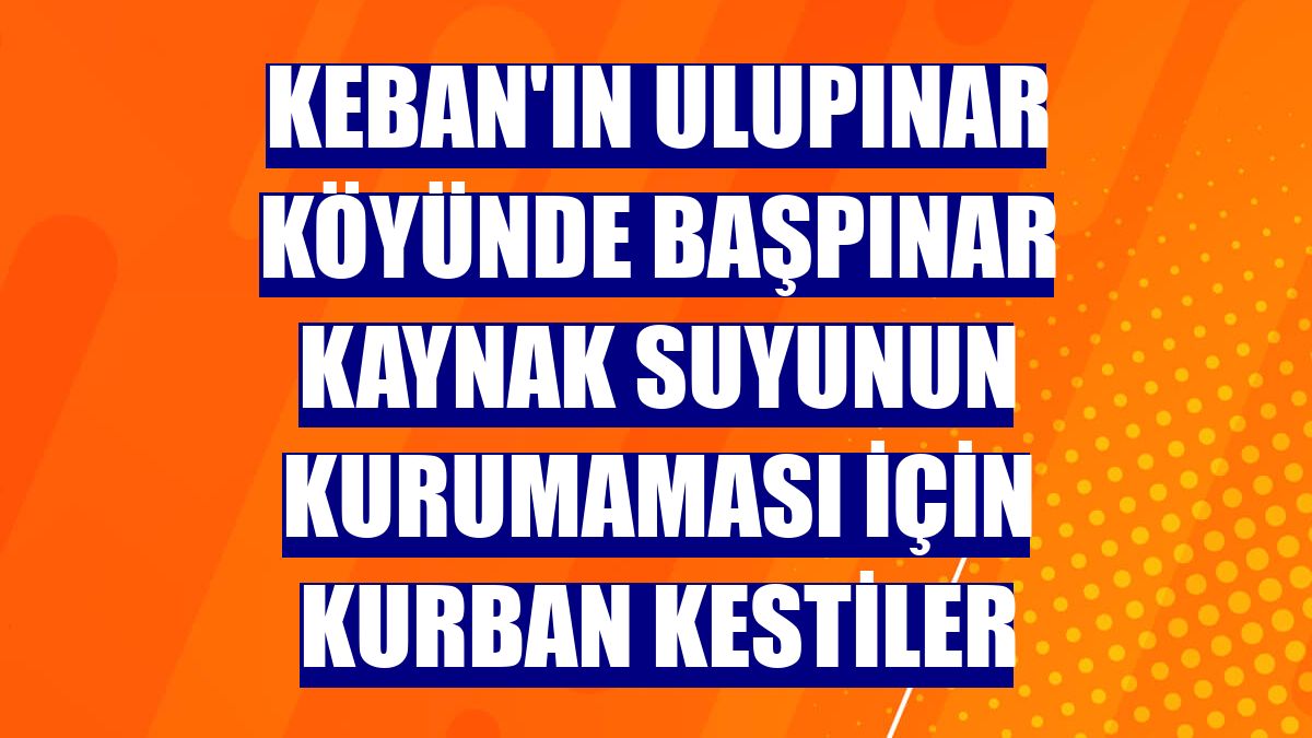 Keban'ın Ulupınar köyünde Başpınar kaynak suyunun kurumaması için kurban kestiler