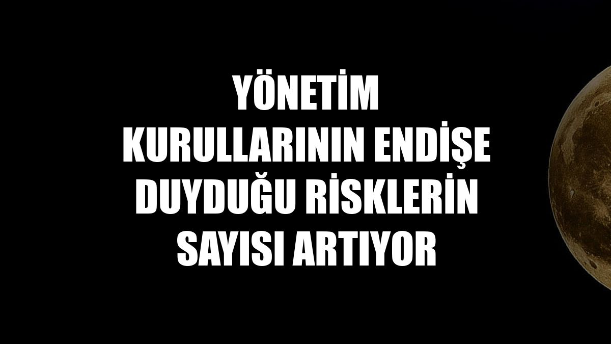 Yönetim kurullarının endişe duyduğu risklerin sayısı artıyor