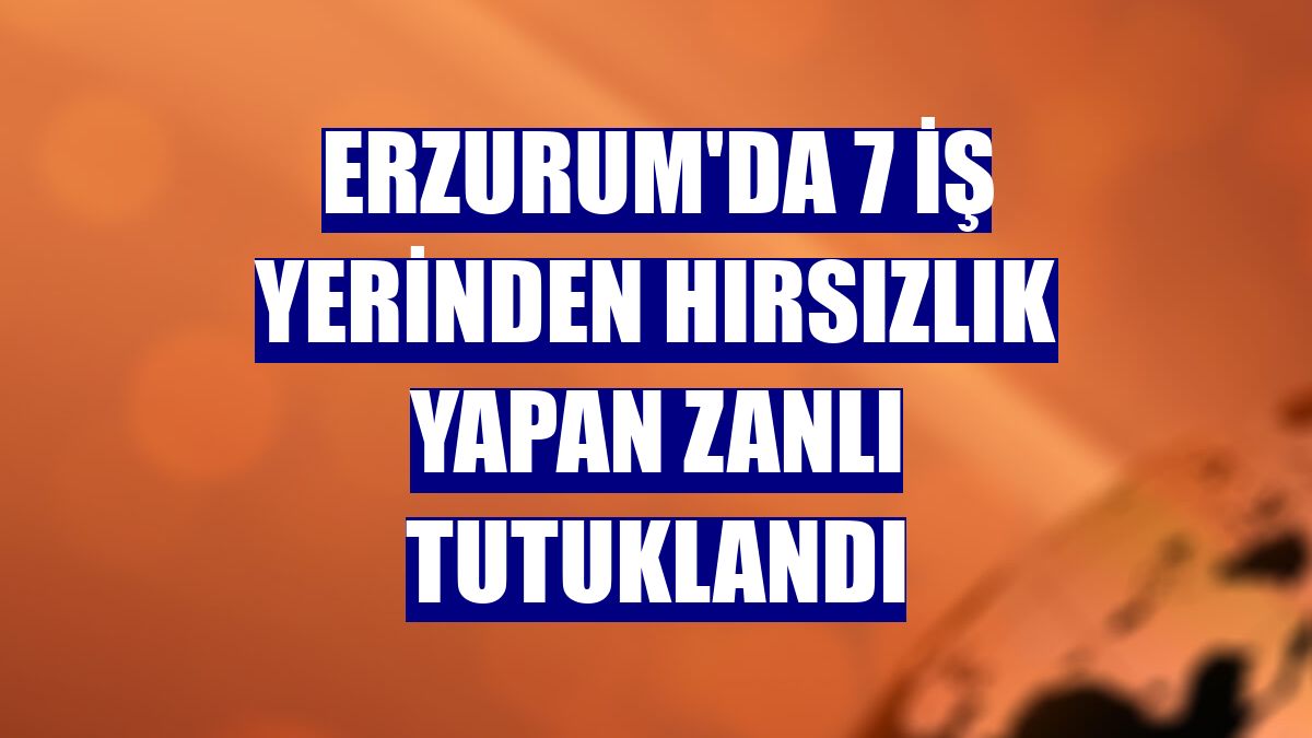 Erzurum'da 7 iş yerinden hırsızlık yapan zanlı tutuklandı