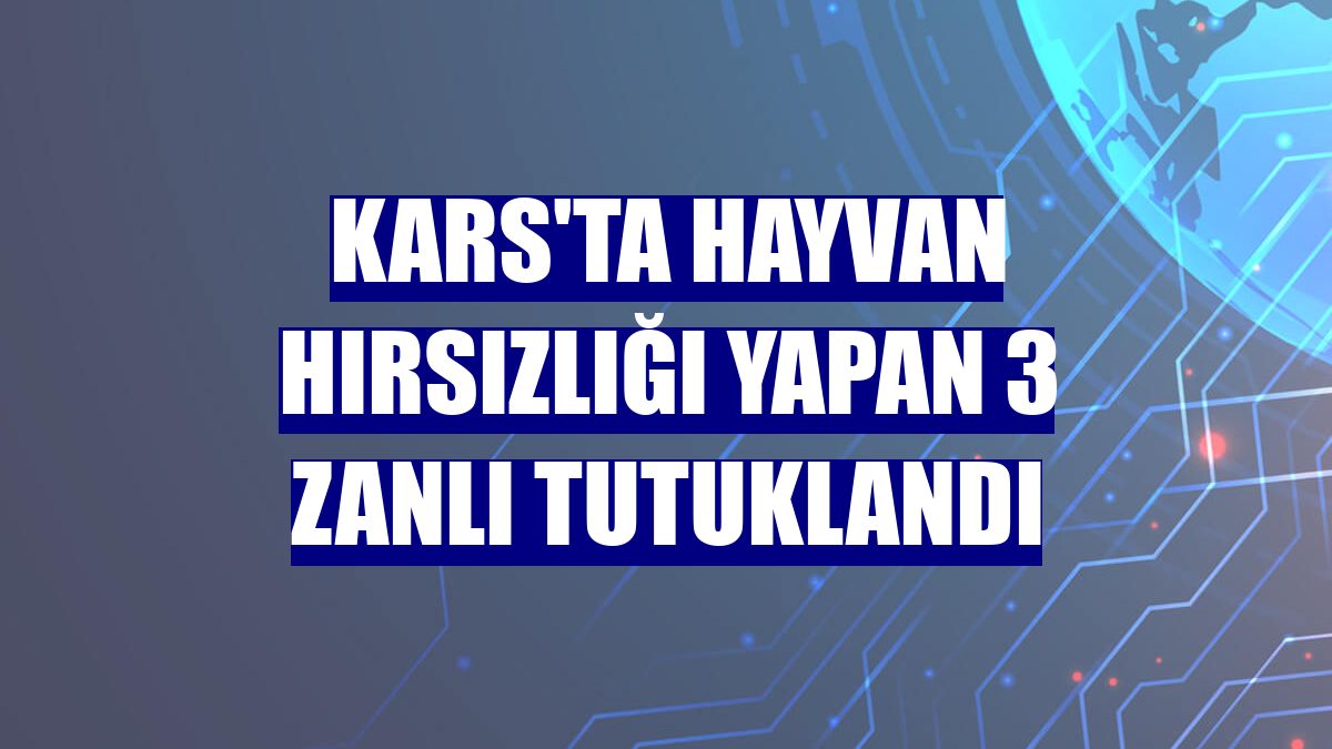 Kars'ta hayvan hırsızlığı yapan 3 zanlı tutuklandı