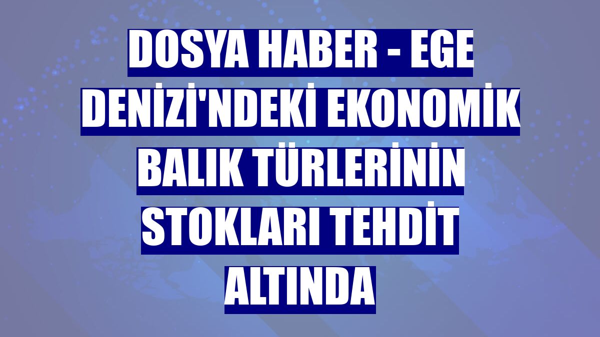 DOSYA HABER - Ege Denizi'ndeki ekonomik balık türlerinin stokları tehdit altında
