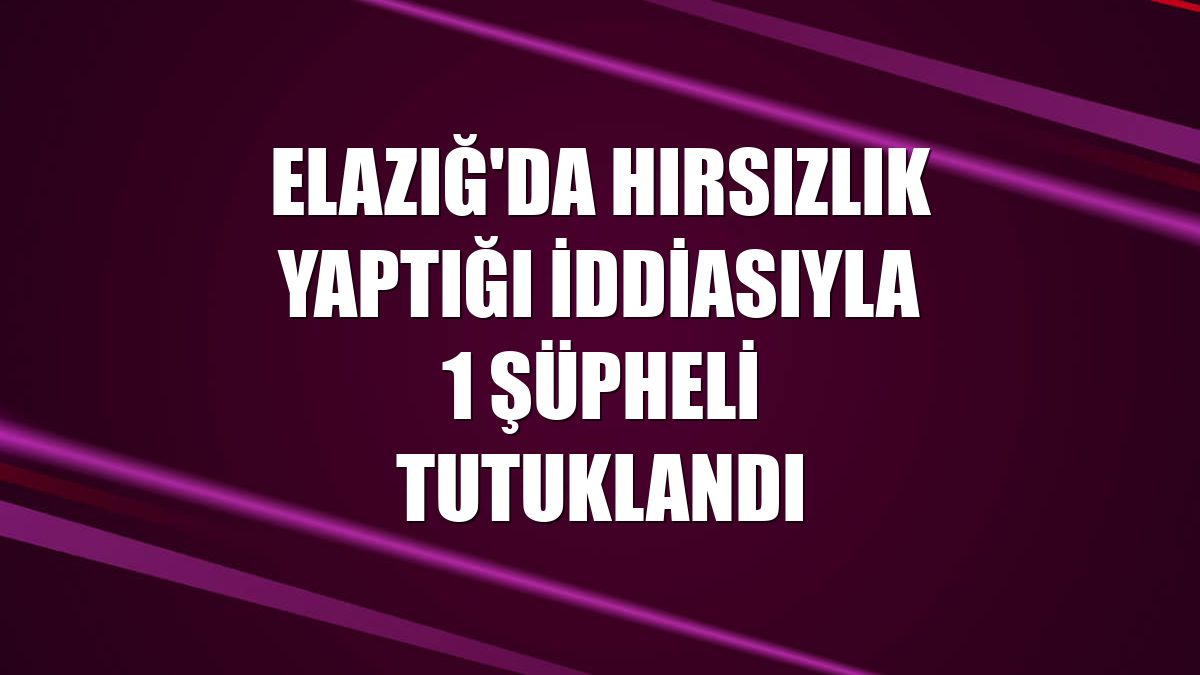 Elazığ'da hırsızlık yaptığı iddiasıyla 1 şüpheli tutuklandı