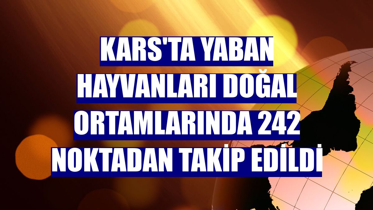 Kars'ta yaban hayvanları doğal ortamlarında 242 noktadan takip edildi