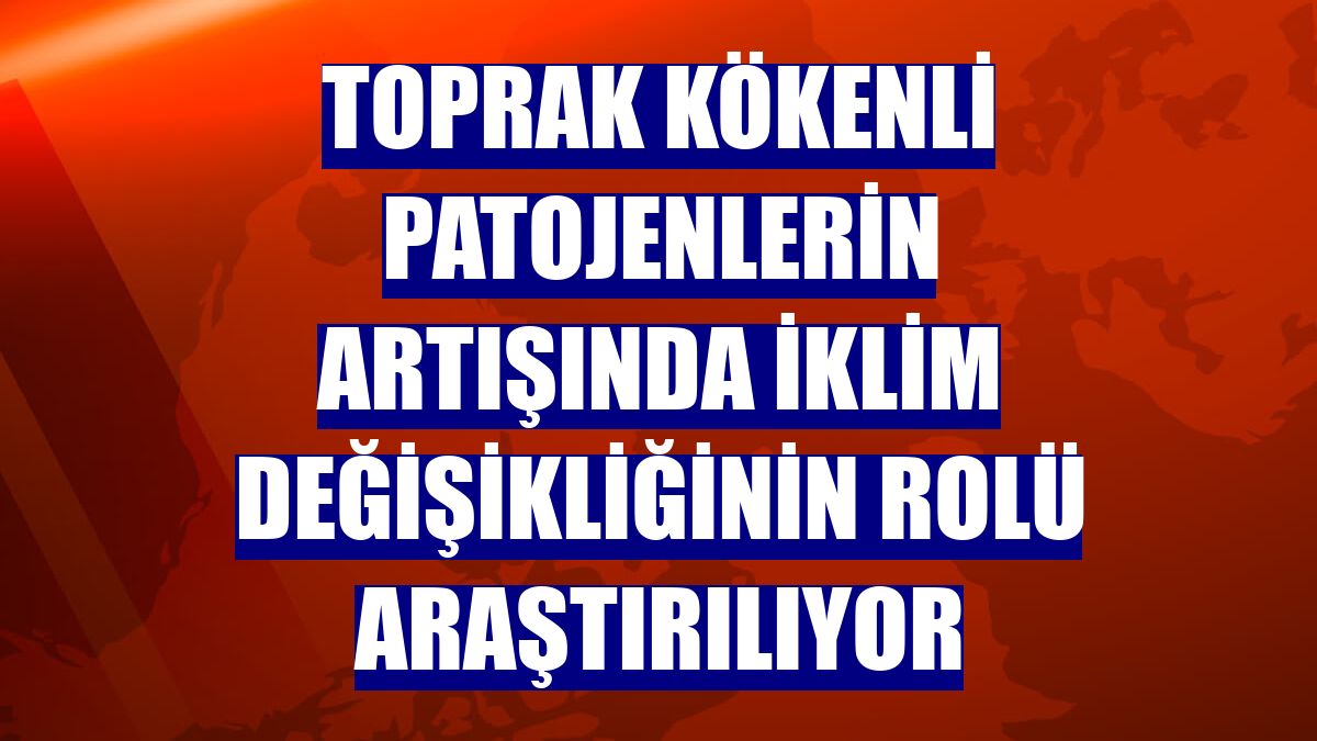 Toprak kökenli patojenlerin artışında iklim değişikliğinin rolü araştırılıyor