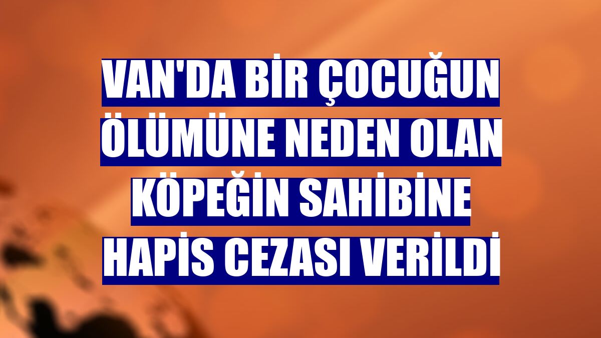 Van'da bir çocuğun ölümüne neden olan köpeğin sahibine hapis cezası verildi