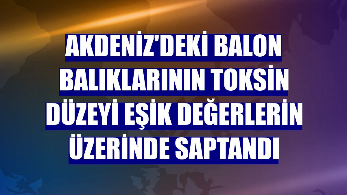 Akdeniz'deki balon balıklarının toksin düzeyi eşik değerlerin üzerinde saptandı