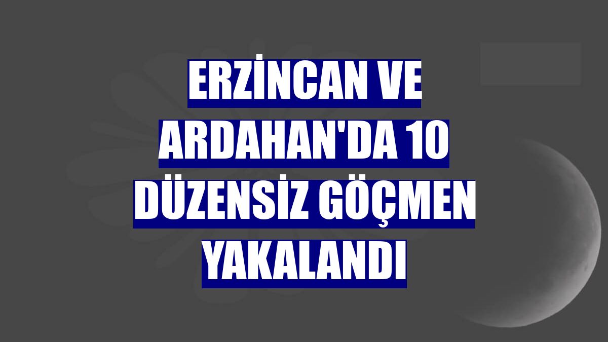 Erzincan ve Ardahan'da 10 düzensiz göçmen yakalandı
