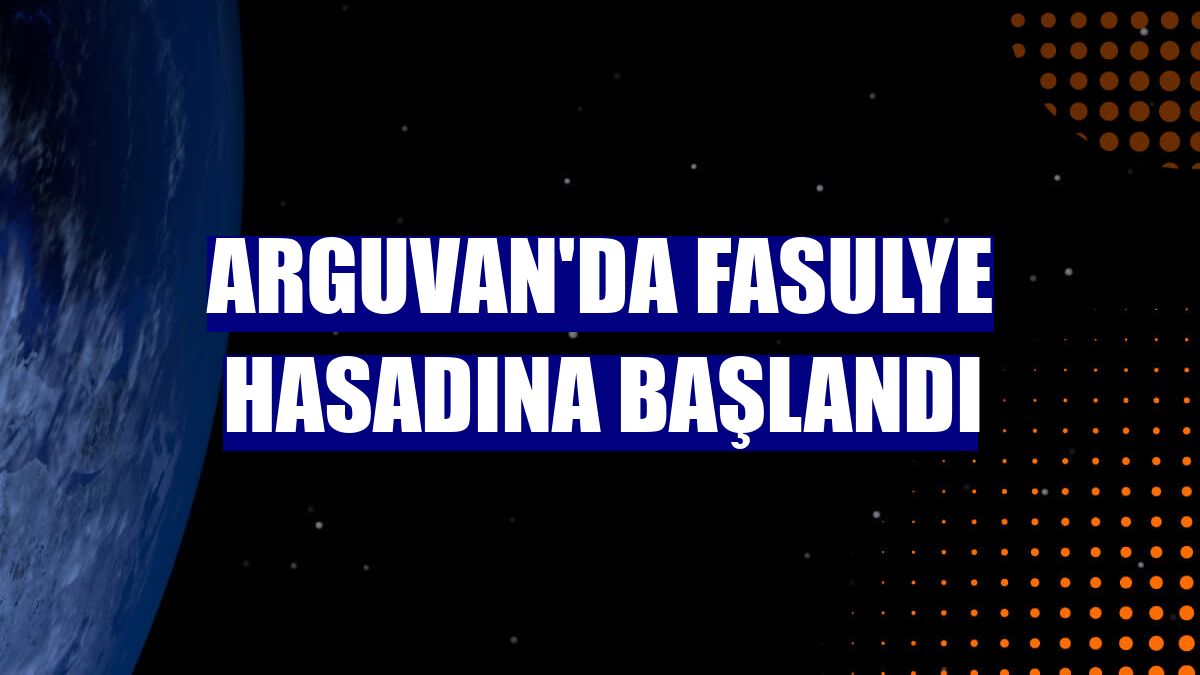 Arguvan'da fasulye hasadına başlandı