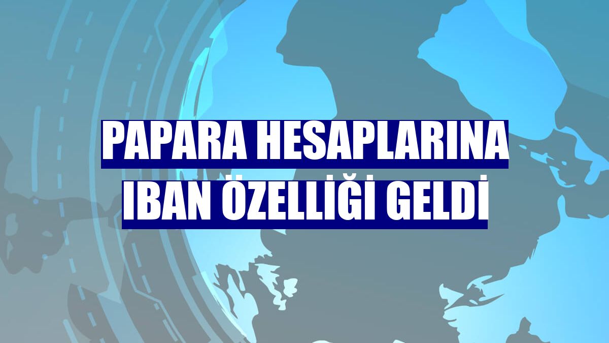 Papara hesaplarına IBAN özelliği geldi