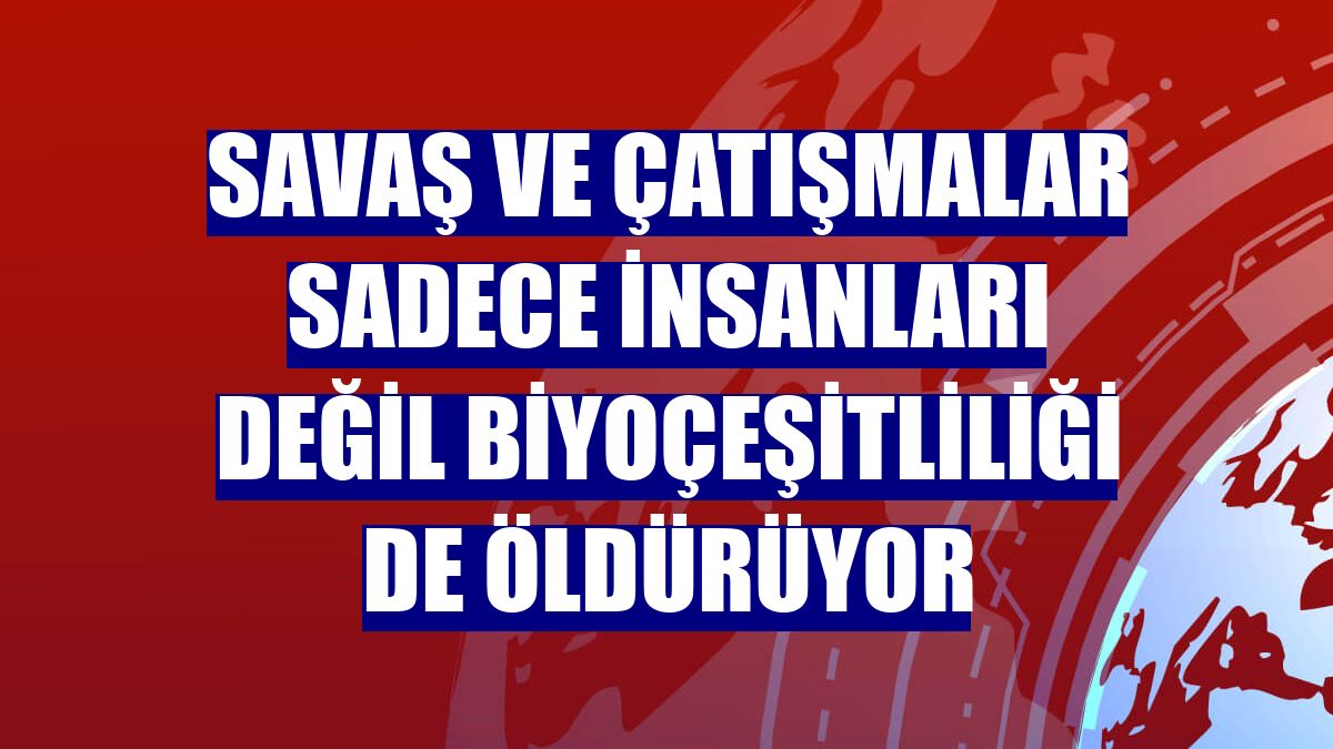 Savaş ve çatışmalar sadece insanları değil biyoçeşitliliği de öldürüyor