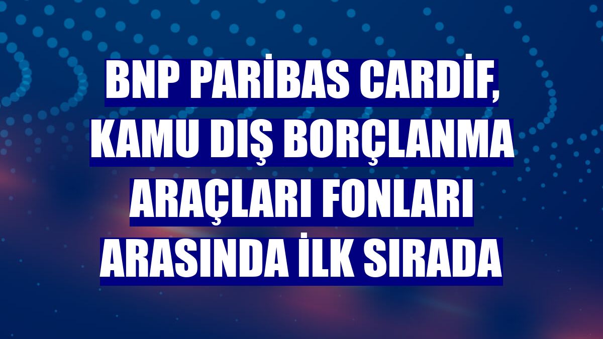 BNP Paribas Cardif, Kamu Dış Borçlanma Araçları fonları arasında ilk sırada