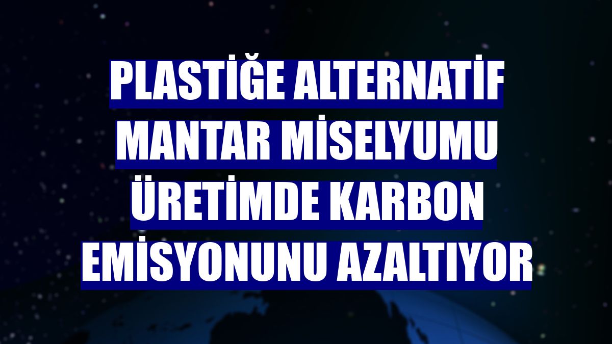 Plastiğe alternatif mantar miselyumu üretimde karbon emisyonunu azaltıyor