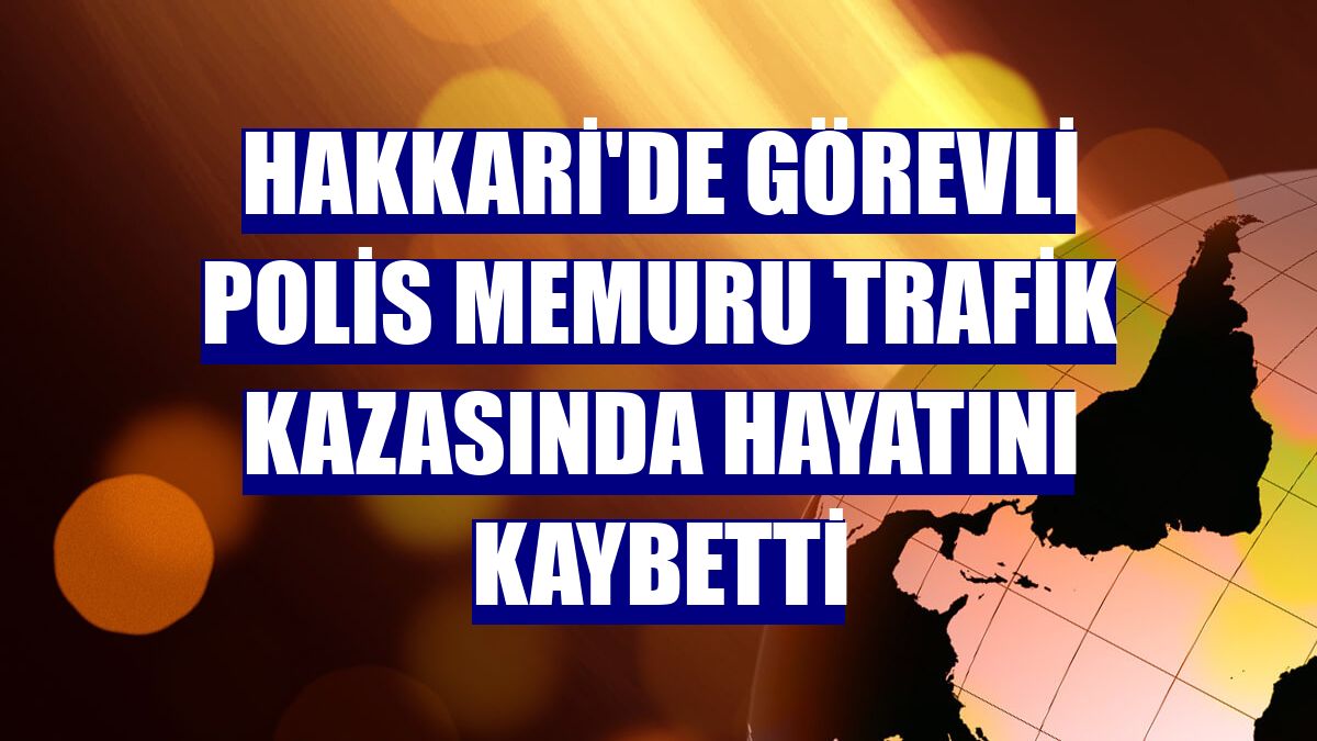 Hakkari'de görevli polis memuru trafik kazasında hayatını kaybetti