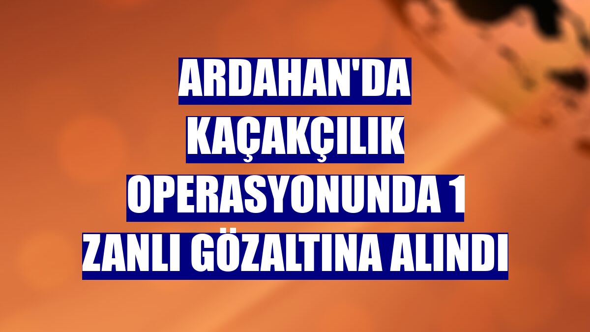 Ardahan'da kaçakçılık operasyonunda 1 zanlı gözaltına alındı