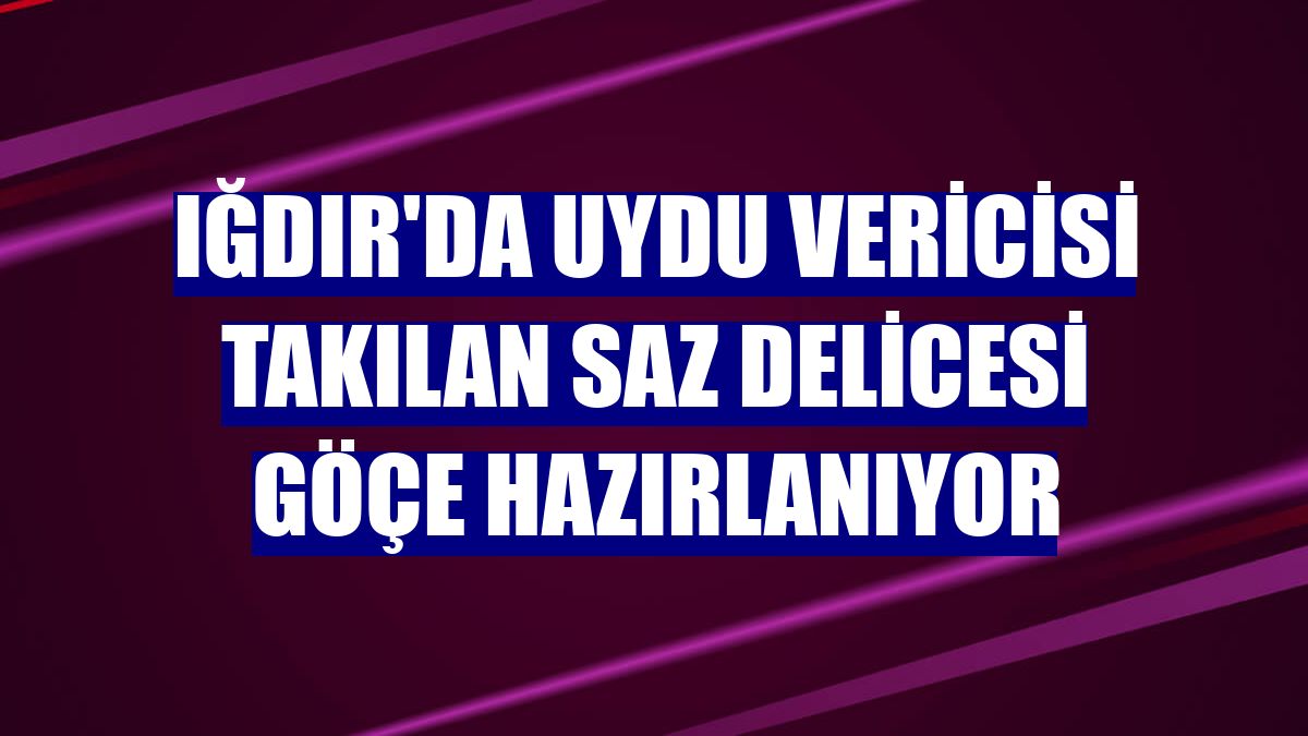 Iğdır'da uydu vericisi takılan saz delicesi göçe hazırlanıyor