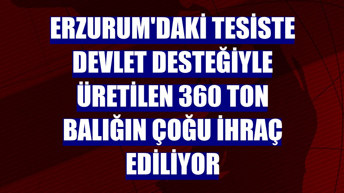 Erzurum'daki tesiste devlet desteğiyle üretilen 360 ton balığın çoğu ihraç ediliyor