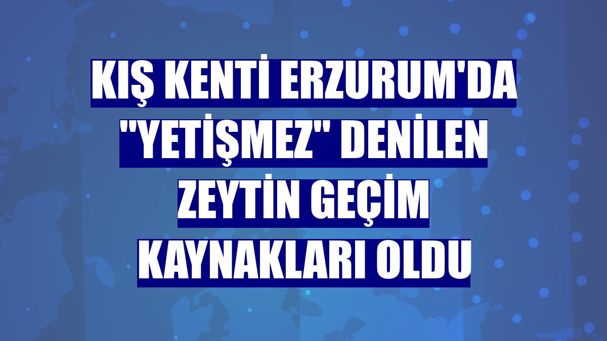 Kış kenti Erzurum'da "yetişmez" denilen zeytin geçim kaynakları oldu