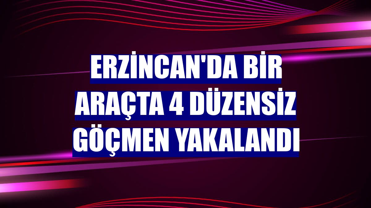 Erzincan'da bir araçta 4 düzensiz göçmen yakalandı