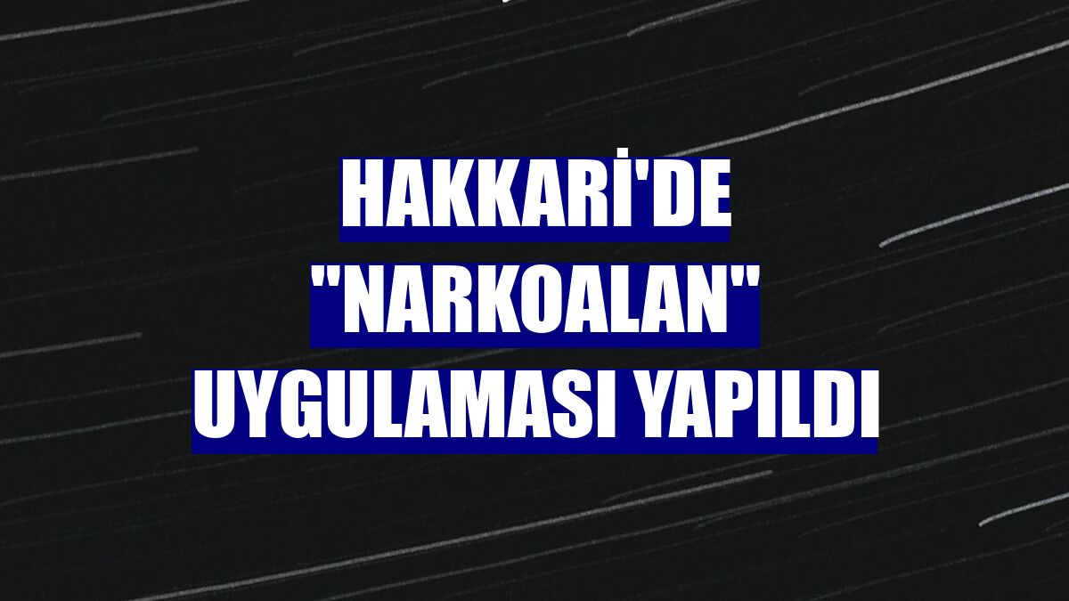 Hakkari'de "narkoalan" uygulaması yapıldı