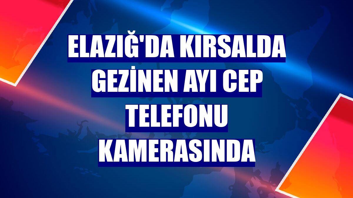 Elazığ'da kırsalda gezinen ayı cep telefonu kamerasında