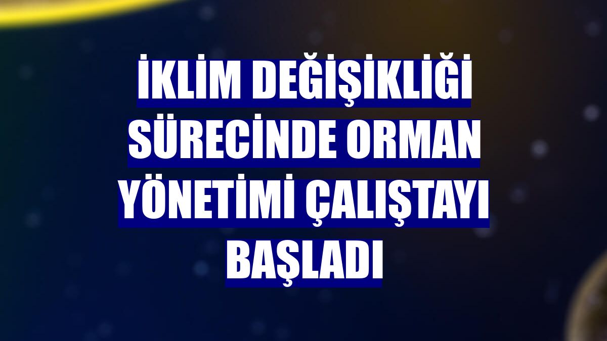 İklim Değişikliği Sürecinde Orman Yönetimi Çalıştayı başladı