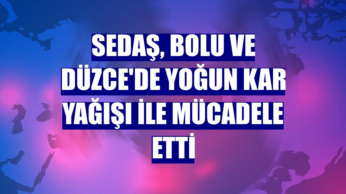 SEDAŞ, Bolu ve Düzce'de yoğun kar yağışı ile mücadele etti