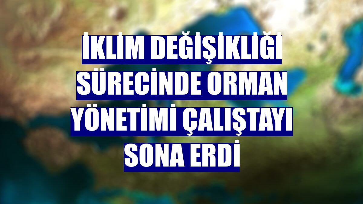 İklim Değişikliği Sürecinde Orman Yönetimi Çalıştayı sona erdi