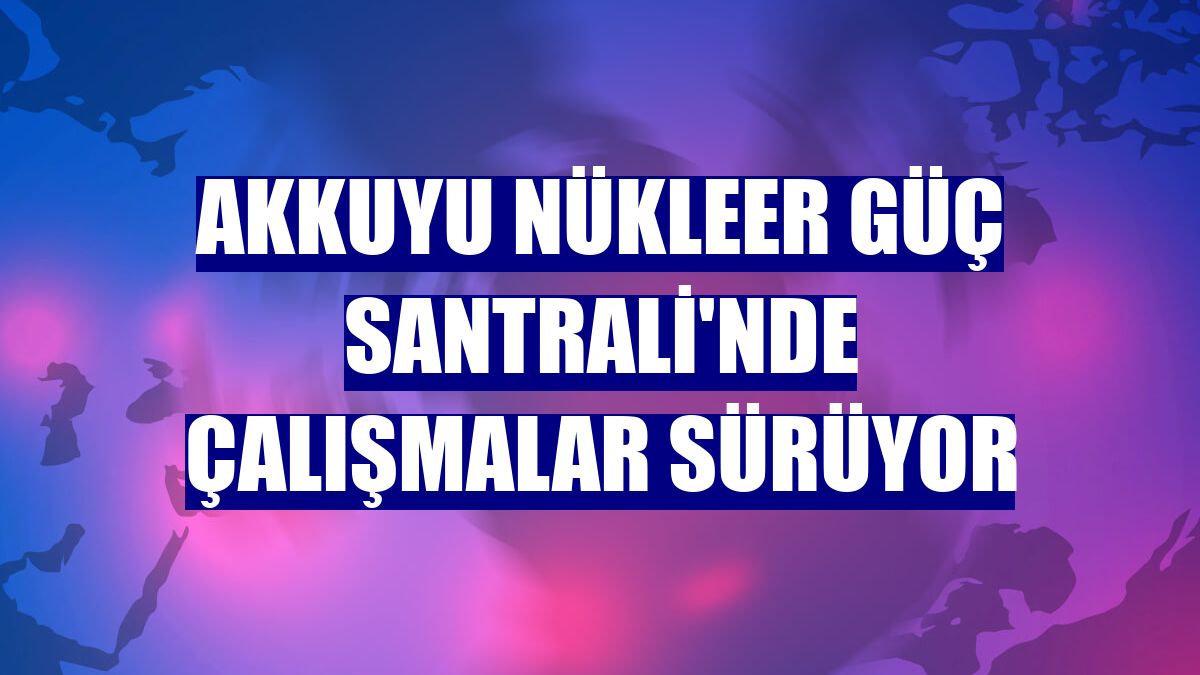 Akkuyu Nükleer Güç Santrali'nde çalışmalar sürüyor