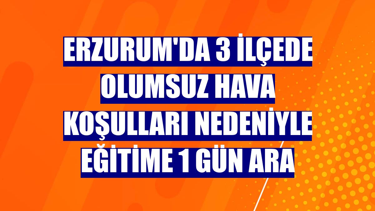Erzurum'da 3 ilçede olumsuz hava koşulları nedeniyle eğitime 1 gün ara