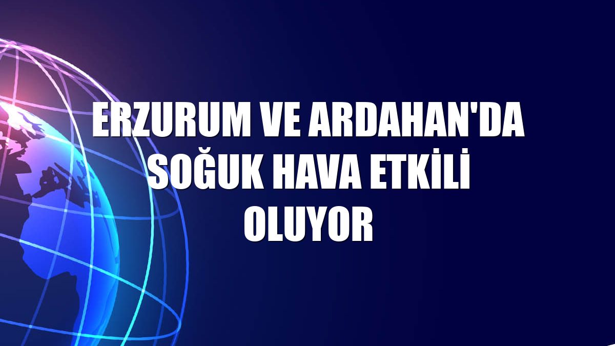 Erzurum ve Ardahan'da soğuk hava etkili oluyor