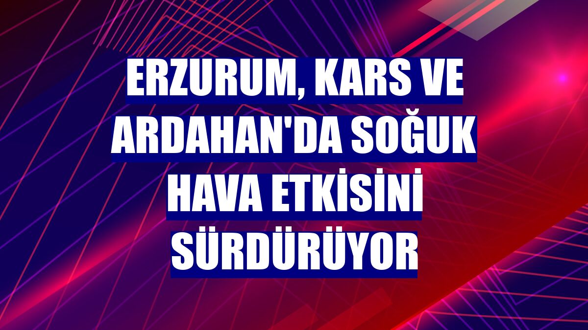 Erzurum, Kars ve Ardahan'da soğuk hava etkisini sürdürüyor