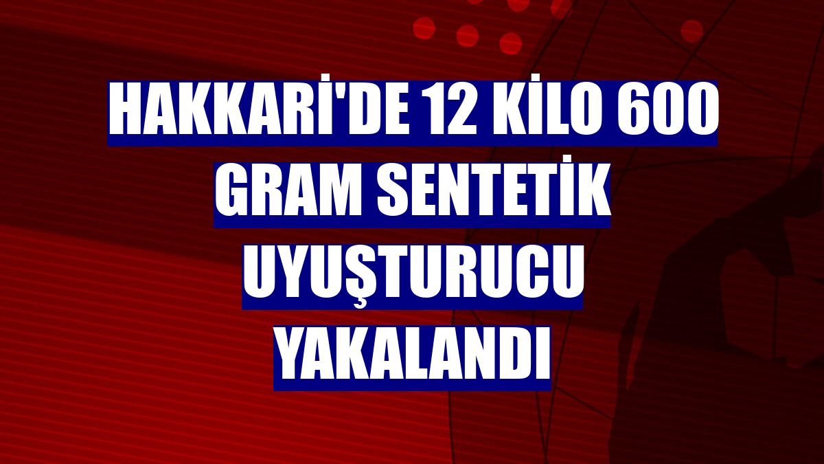 Hakkari'de 12 kilo 600 gram sentetik uyuşturucu yakalandı