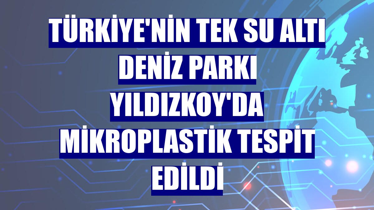 Türkiye'nin tek su altı deniz parkı Yıldızkoy'da mikroplastik tespit edildi