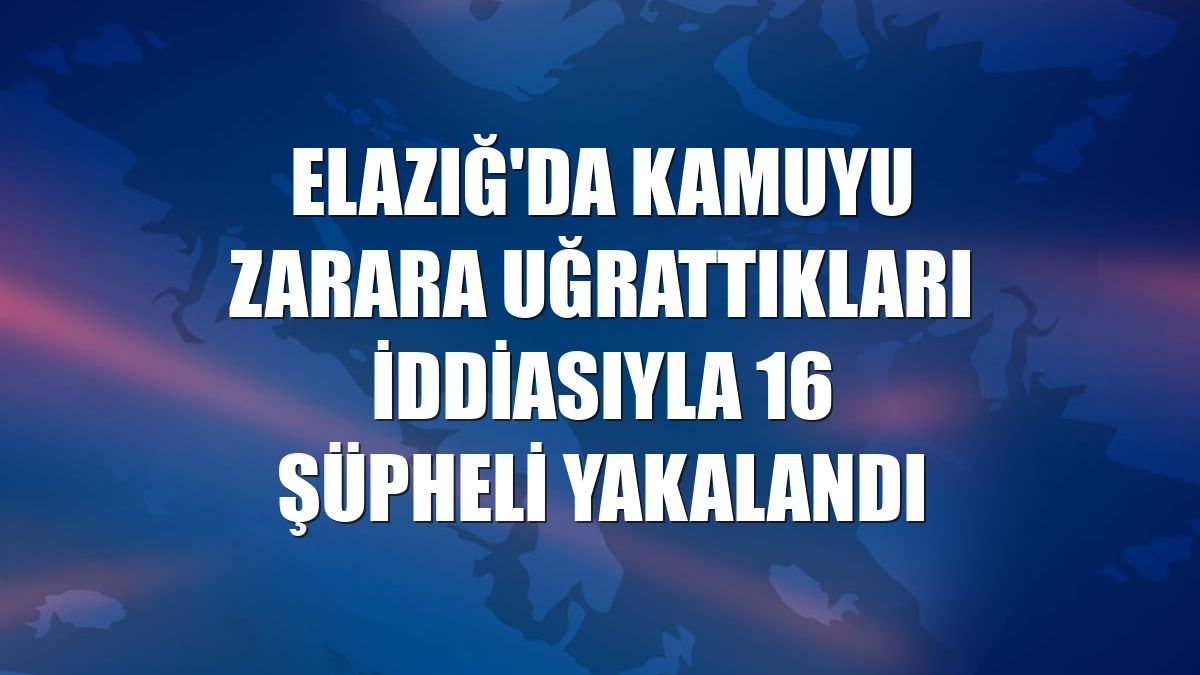 Elazığ'da kamuyu zarara uğrattıkları iddiasıyla 16 şüpheli yakalandı