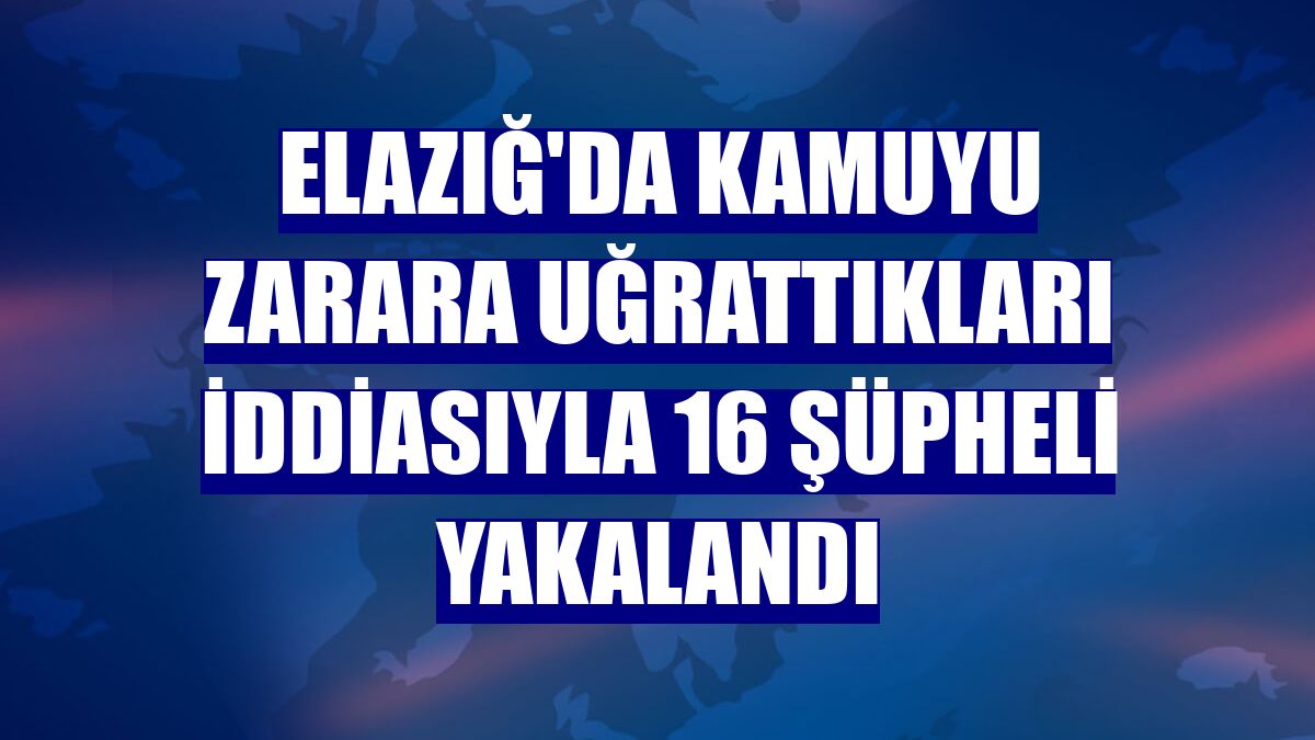 Elazığ'da kamuyu zarara uğrattıkları iddiasıyla 16 şüpheli yakalandı