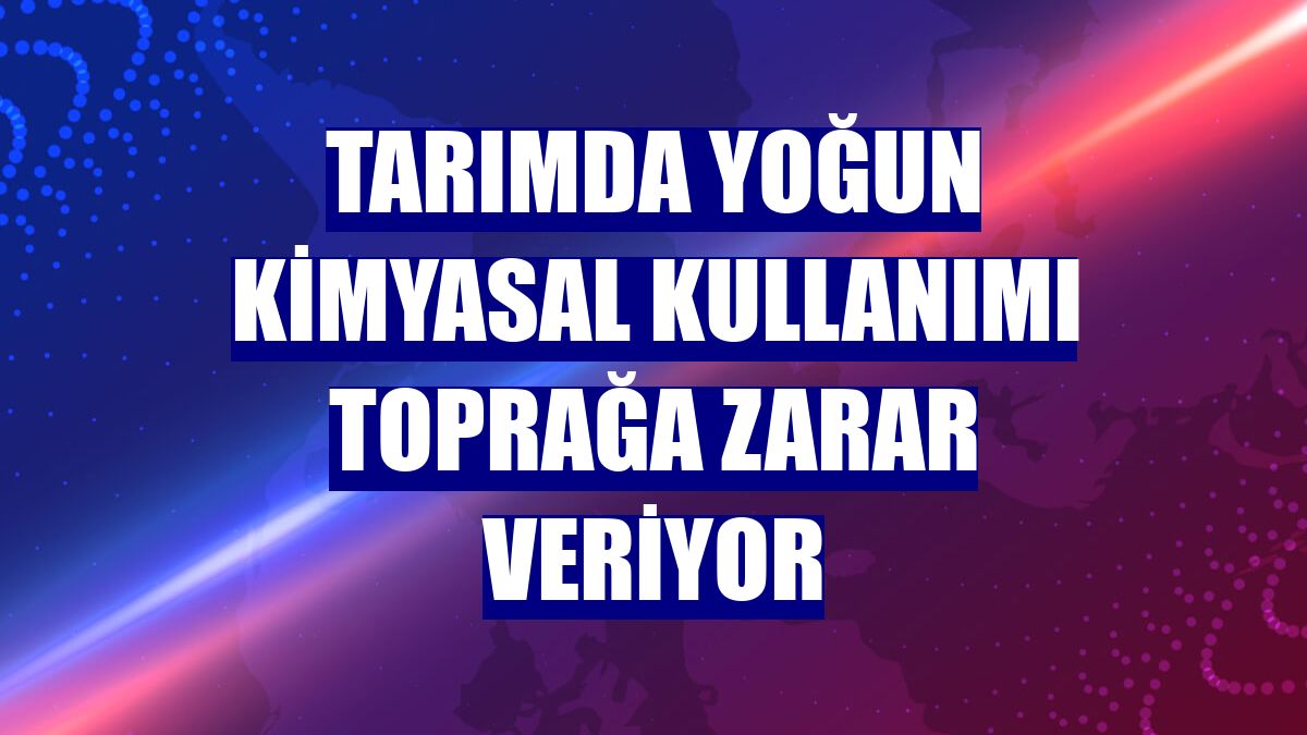 Tarımda yoğun kimyasal kullanımı toprağa zarar veriyor