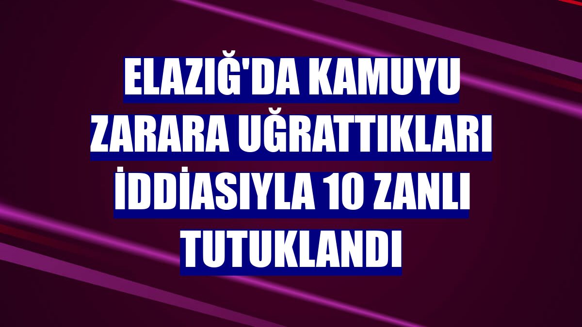 Elazığ'da kamuyu zarara uğrattıkları iddiasıyla 10 zanlı tutuklandı