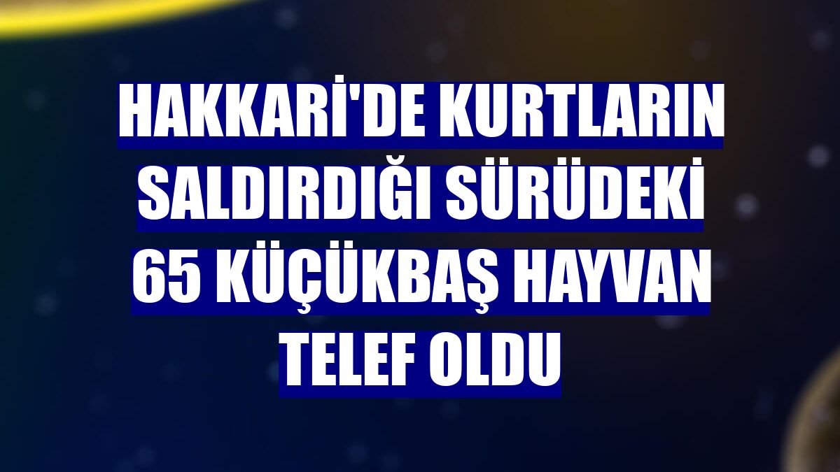 Hakkari'de kurtların saldırdığı sürüdeki 65 küçükbaş hayvan telef oldu