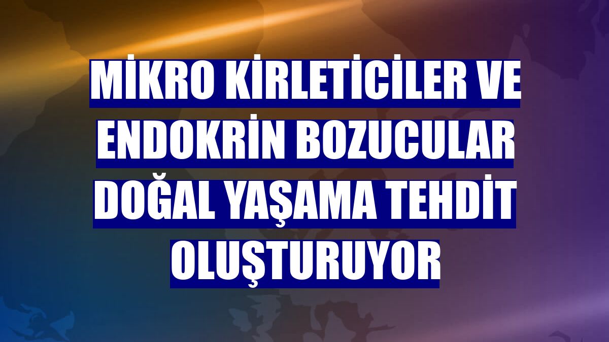 Mikro kirleticiler ve endokrin bozucular doğal yaşama tehdit oluşturuyor