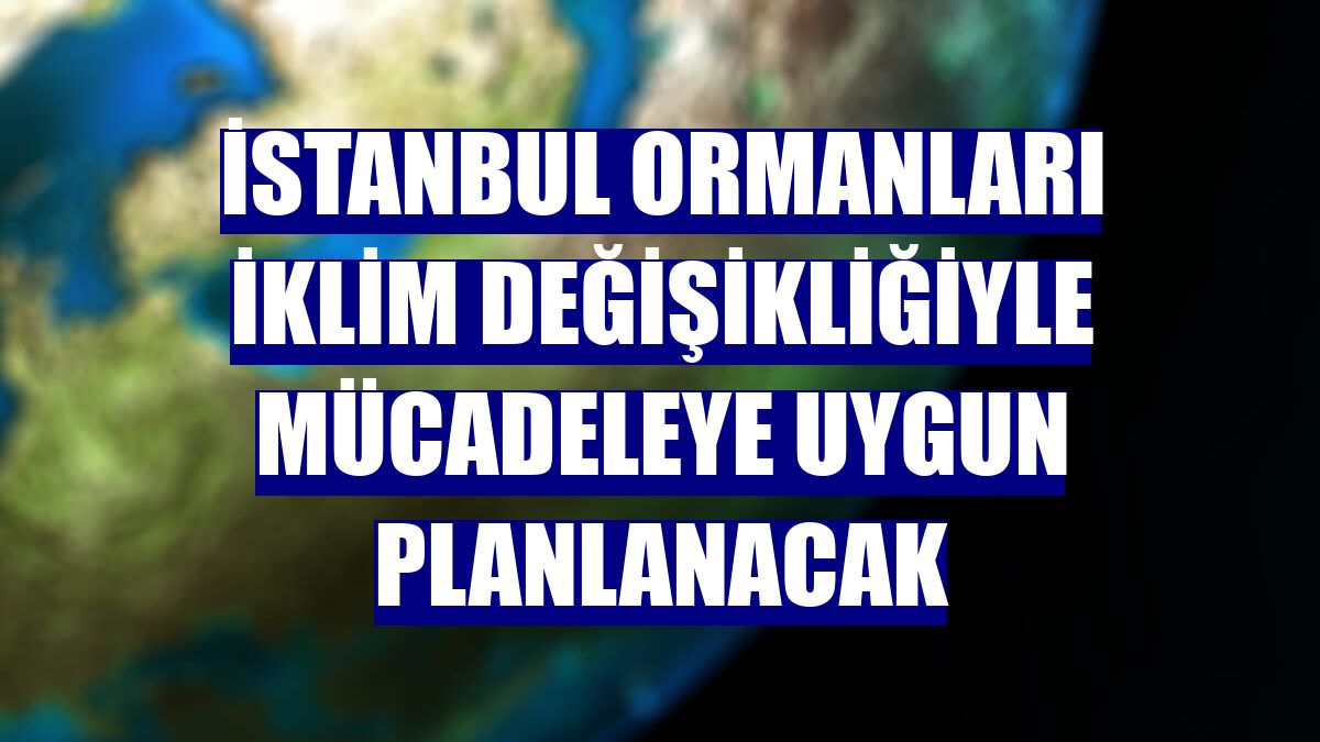 İstanbul ormanları iklim değişikliğiyle mücadeleye uygun planlanacak