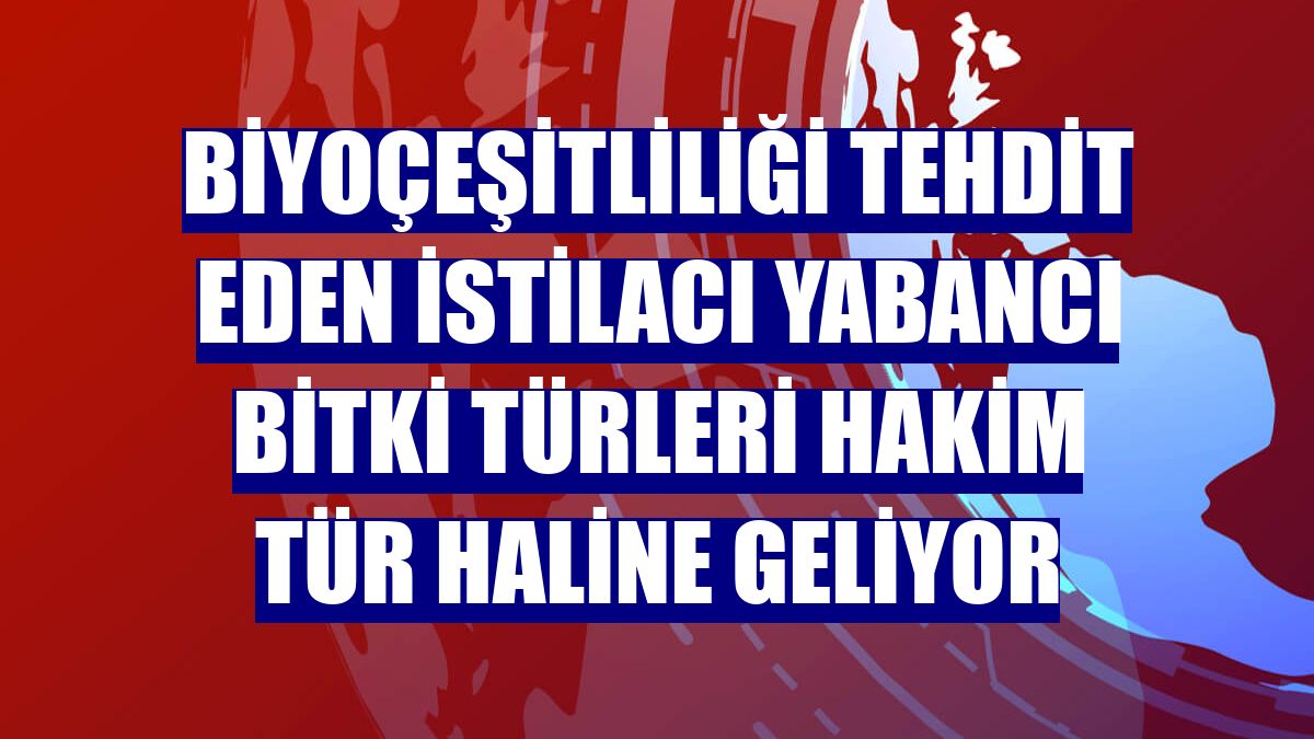 Biyoçeşitliliği tehdit eden istilacı yabancı bitki türleri hakim tür haline geliyor