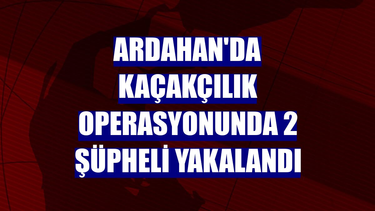 Ardahan'da kaçakçılık operasyonunda 2 şüpheli yakalandı