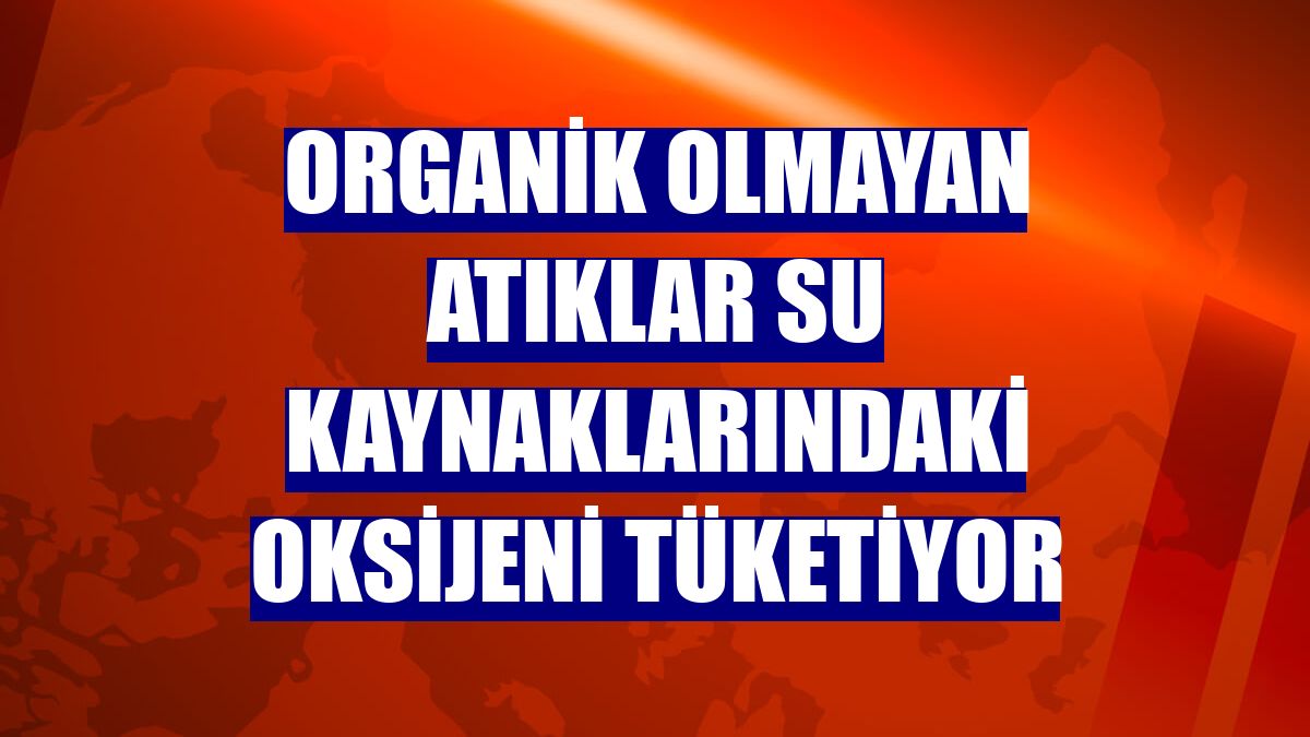 Organik olmayan atıklar su kaynaklarındaki oksijeni tüketiyor