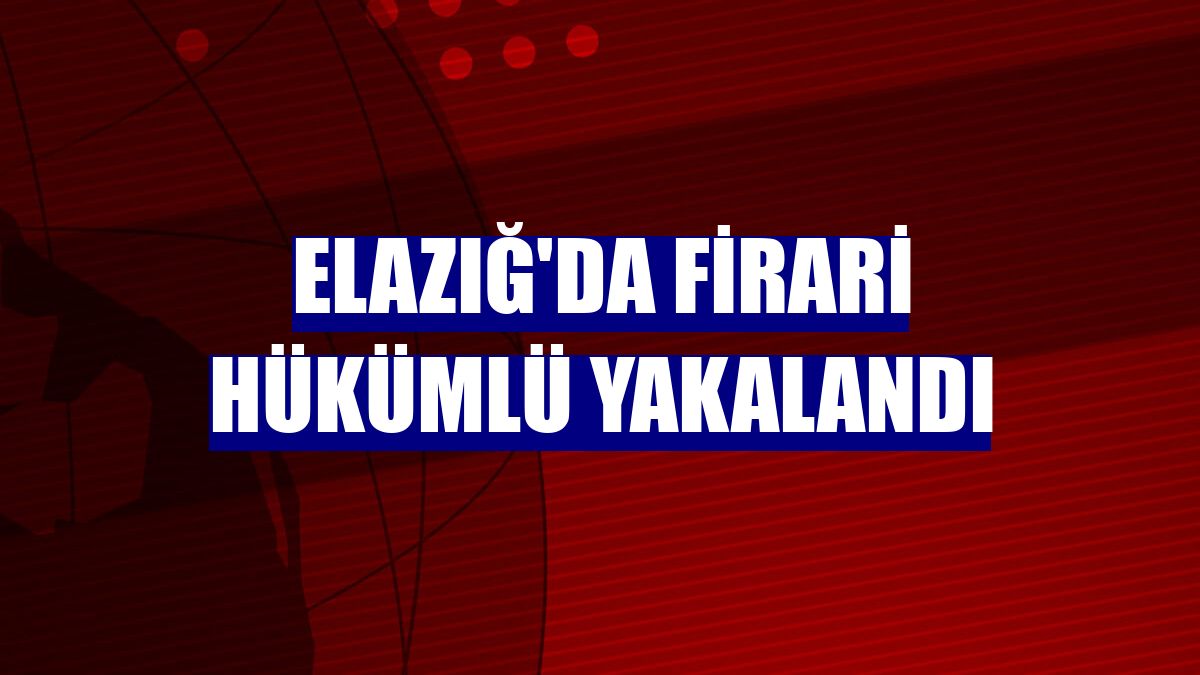 Elazığ'da firari hükümlü yakalandı