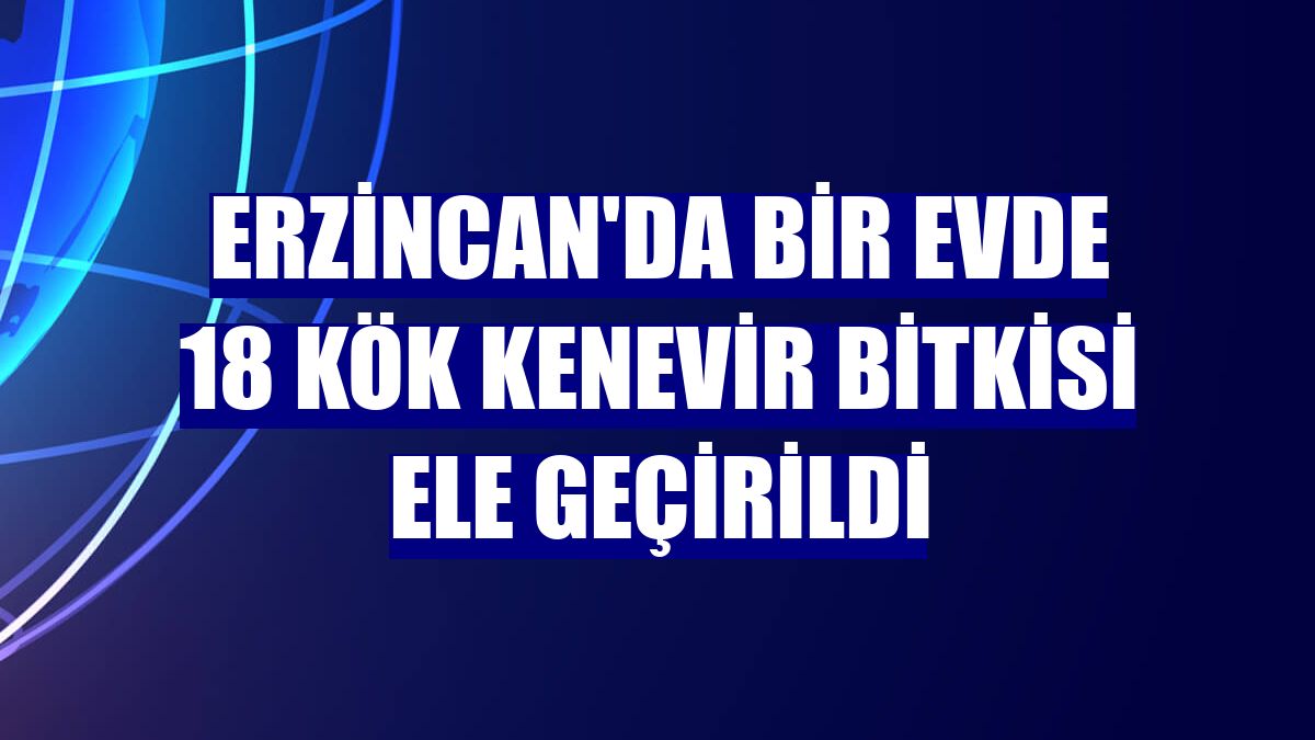 Erzincan'da bir evde 18 kök kenevir bitkisi ele geçirildi