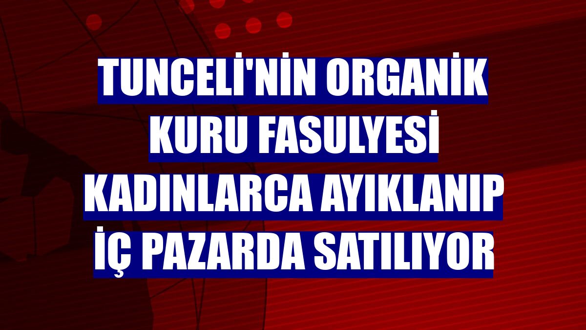 Tunceli'nin organik kuru fasulyesi kadınlarca ayıklanıp iç pazarda satılıyor